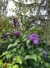 IMG-20240422-WA0097
