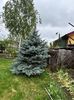 IMG-20240422-WA0103
