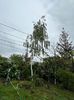 IMG-20240422-WA0106