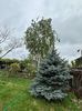 IMG-20240422-WA0107