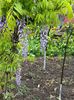 IMG-20240422-WA0108