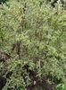 IMG-20240422-WA0109