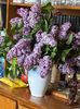 IMG-20240422-WA0113