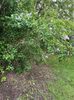 IMG-20240422-WA0115