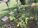 IMG20240423102544