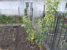 IMG20240427070821