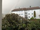 Img.2024.04.24
