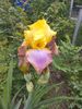 received_1425015271455367