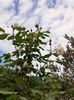 20240430_153631(0)