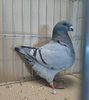 IMG-20240113-WA0067__01