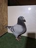 IMG-20240115-WA0033
