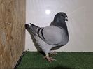 IMG-20240115-WA0032