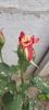 Messenger_creation_5f229aee-bb47-47c2-a75c-6b820dd13eab