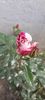 Messenger_creation_d5e9ff0c-98f0-4801-992b-9a26d4213ae3