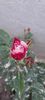 Messenger_creation_45f09f7a-e53d-4b0b-8165-4c5a956b432a