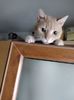 IMG-20221215-WA0014