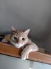 IMG-20221215-WA0015