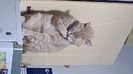 IMG-20221216-WA0005