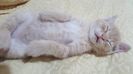 IMG-20240513-WA0081