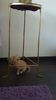 IMG-20240513-WA0091