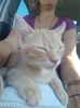IMG-20240513-WA0113