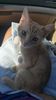 IMG-20240513-WA0118