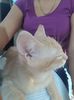 IMG-20240513-WA0130