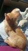 IMG-20240513-WA0133
