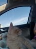 IMG-20240513-WA0135