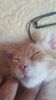 IMG-20240513-WA0138