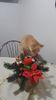 IMG-20240513-WA0141