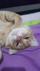 IMG-20240513-WA0143