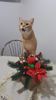 IMG-20240513-WA0144