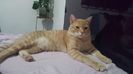 IMG-20240513-WA0145