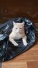 IMG-20240513-WA0146