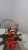 IMG-20240513-WA0147