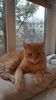IMG-20240513-WA0149