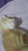 IMG-20240513-WA0154