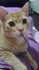 IMG-20240513-WA0160