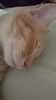 IMG-20240513-WA0162