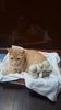 IMG-20240513-WA0163