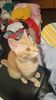 IMG-20240513-WA0164