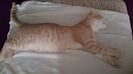 IMG-20240513-WA0166