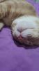 IMG-20240513-WA0169