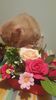 IMG-20240513-WA0167