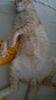 IMG-20240513-WA0173