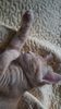 IMG-20240513-WA0177