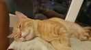 IMG-20240513-WA0176