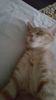 IMG-20240513-WA0175