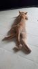 IMG-20240513-WA0180